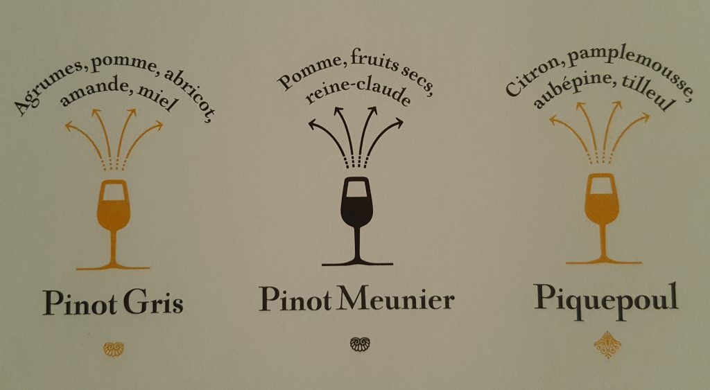 La carte des vins - "S'il te plait, dessine moi un vignoble" Blog